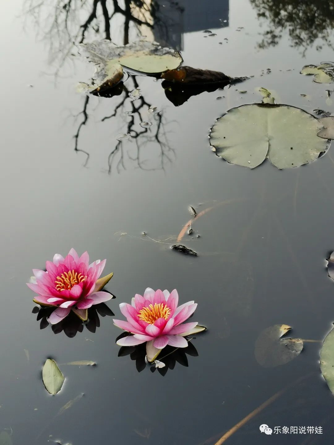 时间都去哪儿了小品完整版,时间都去哪儿了感悟