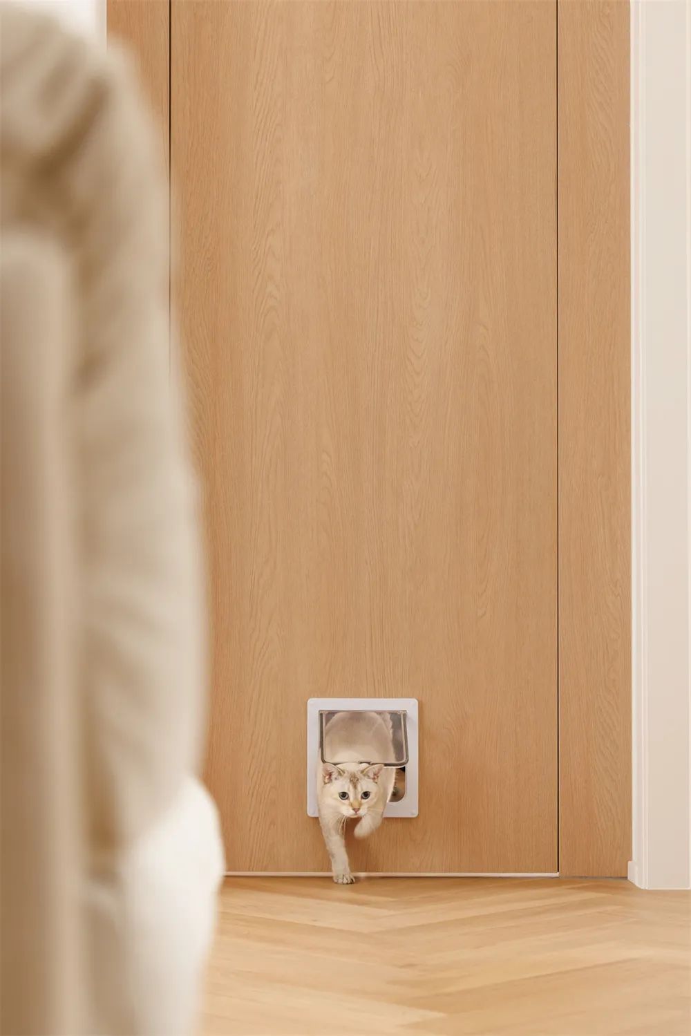 95后小夫妻二手房翻新,95后小夫妻返乡改造老房子