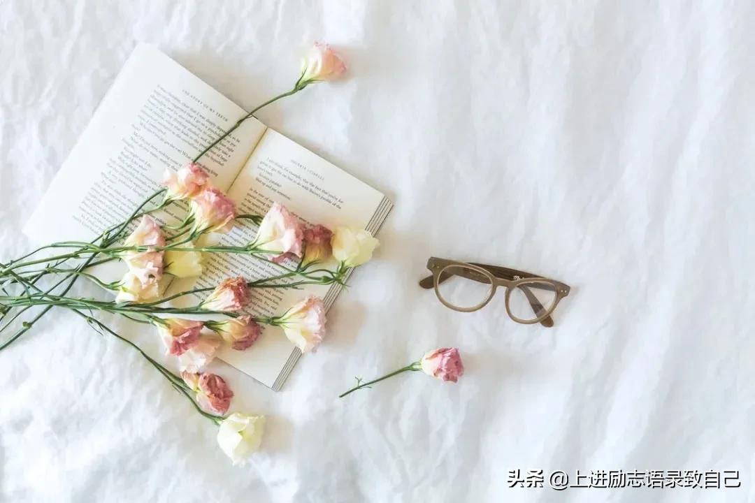 王安石洪范传译文,立德树人修身治教论文