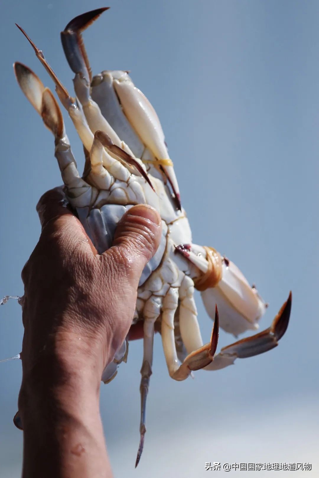 北方最适合旅游的沿海城市,北方的海边最好的地方