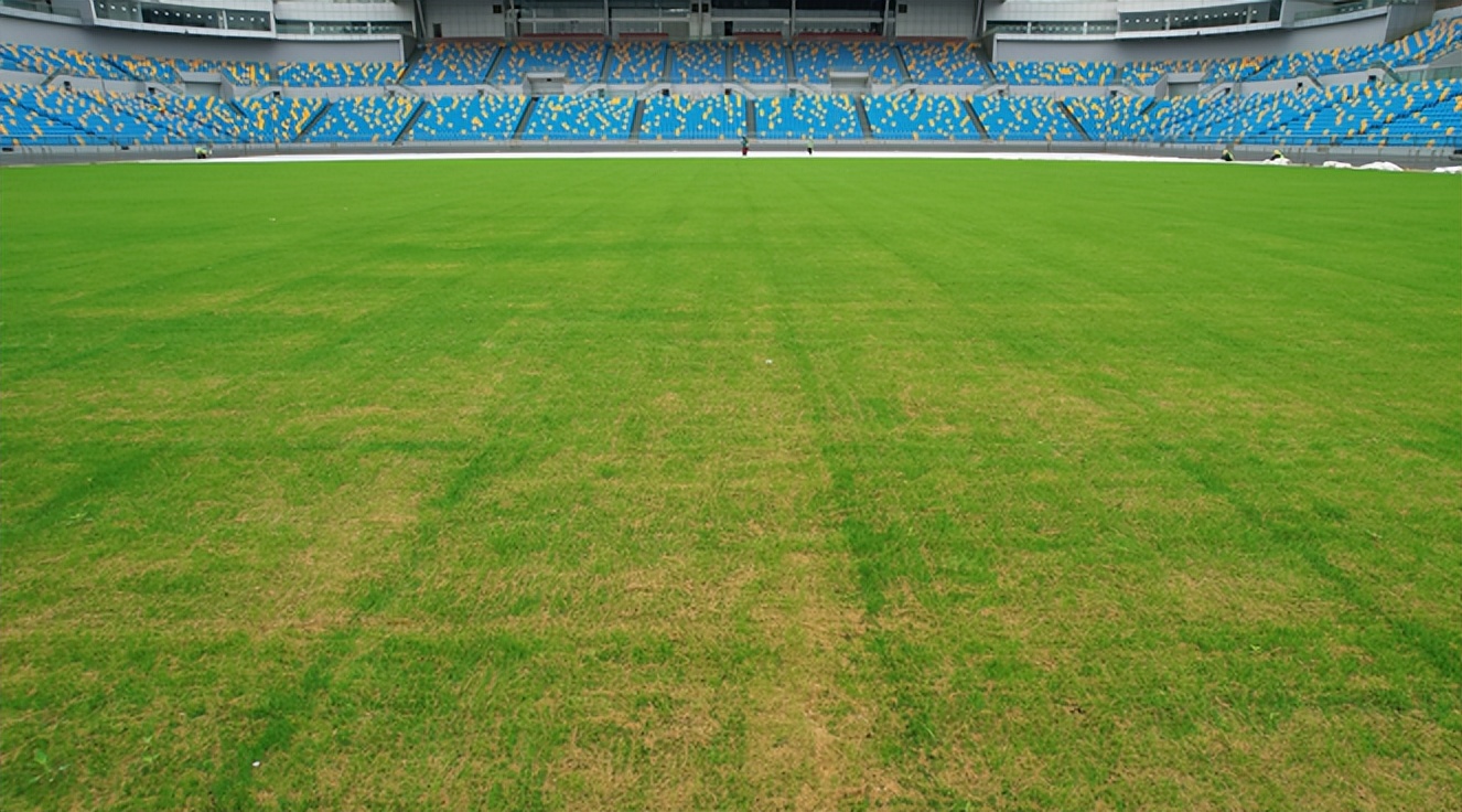 滨海新区利好,滨海新区最新消息图