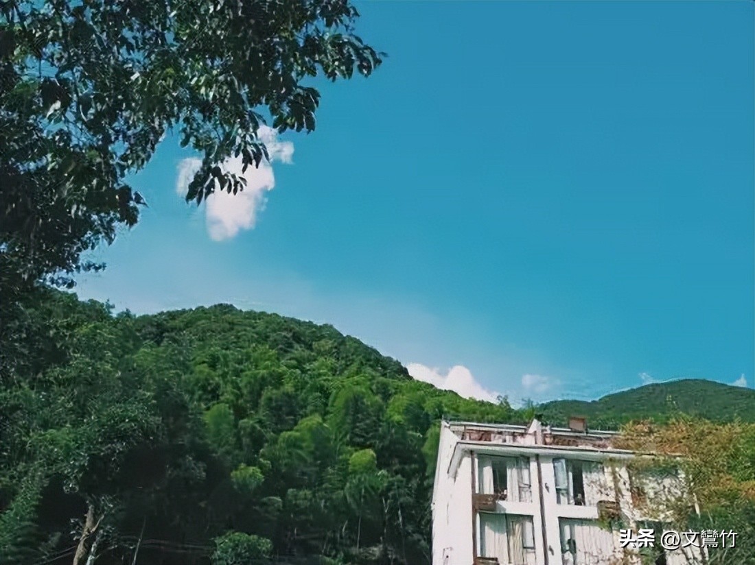 张家界甲鱼价钱表,张家界甲鱼