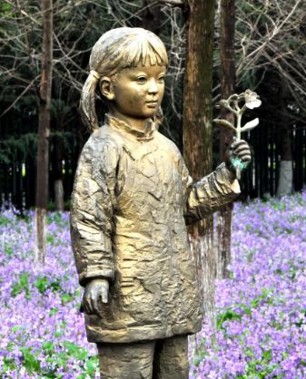 代表着和平的植物为什么是橄榄枝,橄榄枝是什么植物