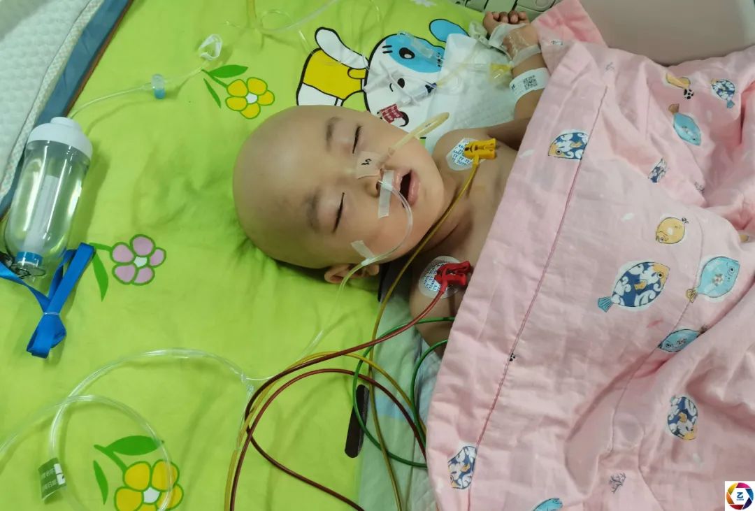 孩子得知爷爷去世崩溃哭泣,女孩得知姥爷去世后大哭