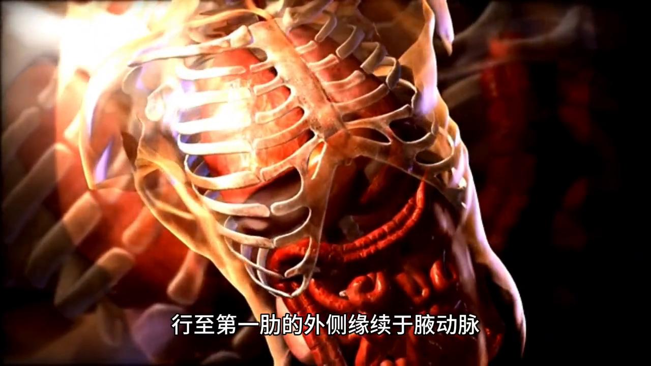 动脉硬化的原因及解决办法,动脉粥样硬化