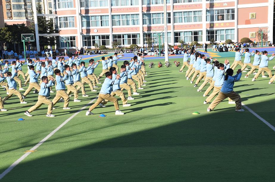 周口和驻马店教育水平,周口教育为啥那么强