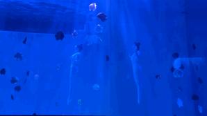 大无语事件!268元买了哈尔滨极地公园亲子票,被路人追着问了三条街!