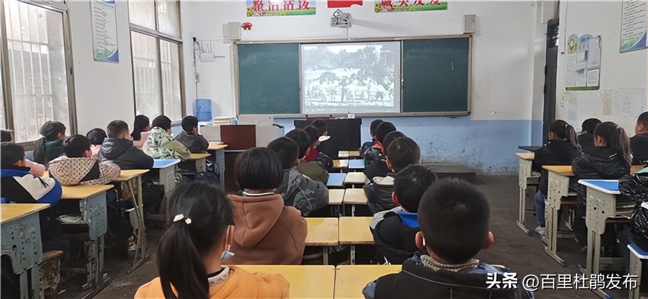 百里杜鹃第一小学活动,百里杜鹃学生研学照片