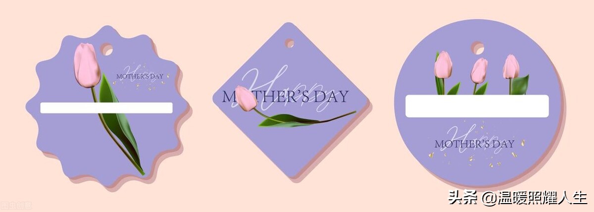 母亲节康乃馨100张照片,母亲节康乃馨的照片