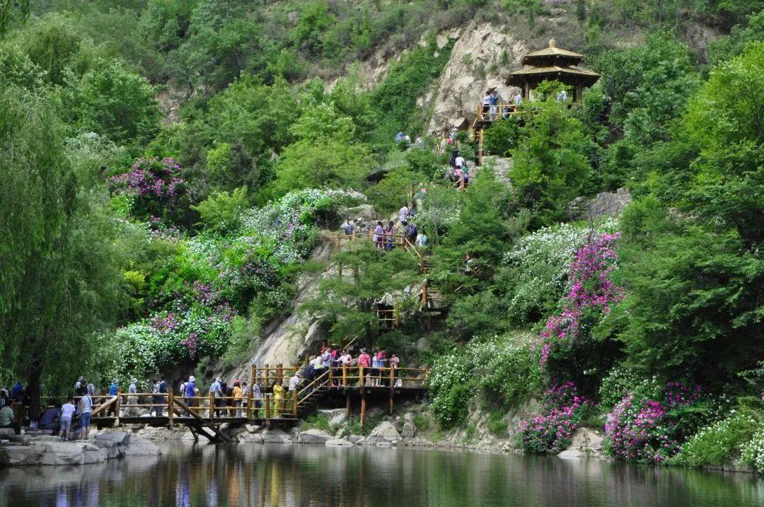 济南近郊旅游专线,济南开通的几条旅游线公交不错