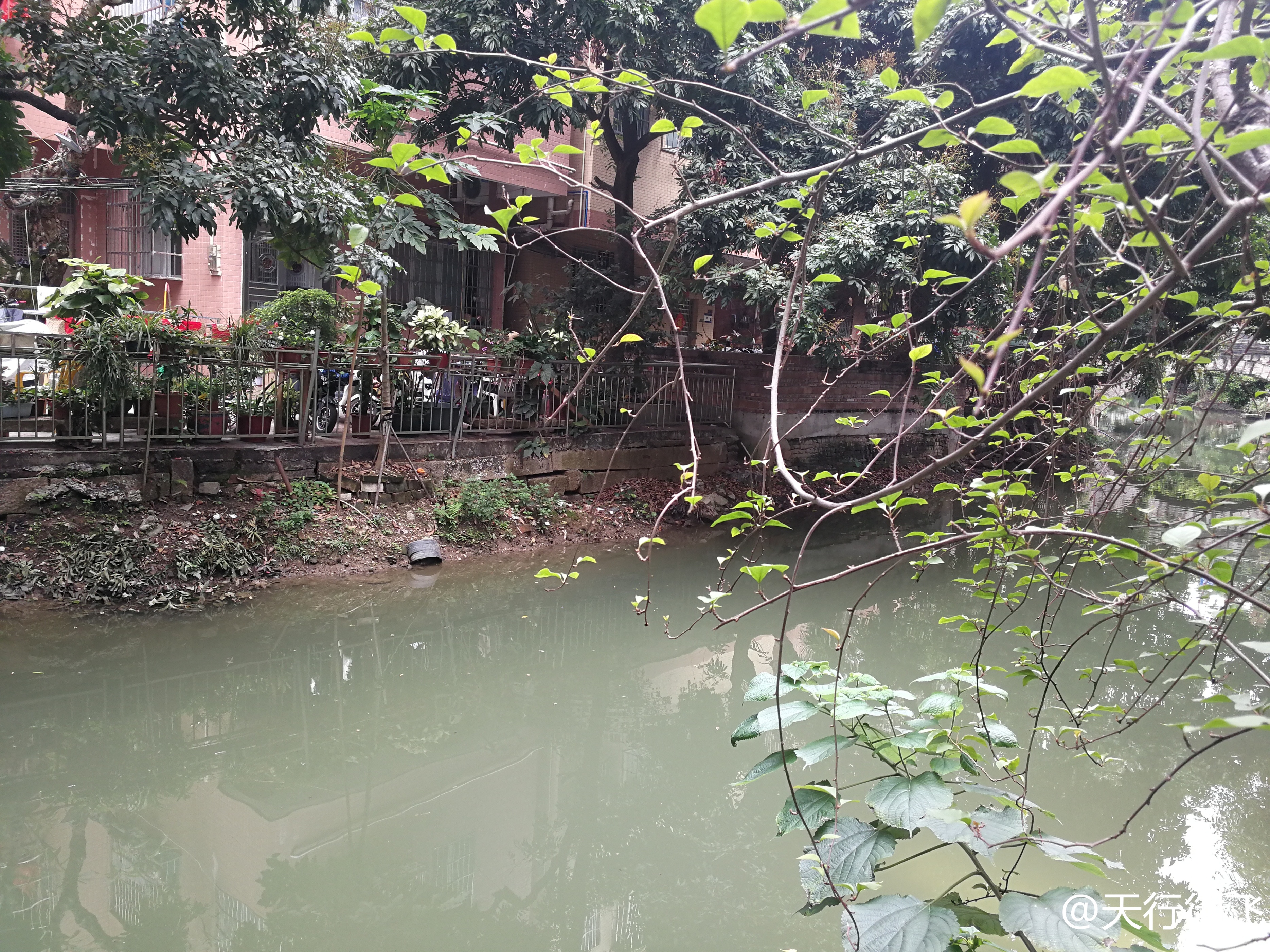 小洲村旅游景点地图,小洲村一日游最佳攻略