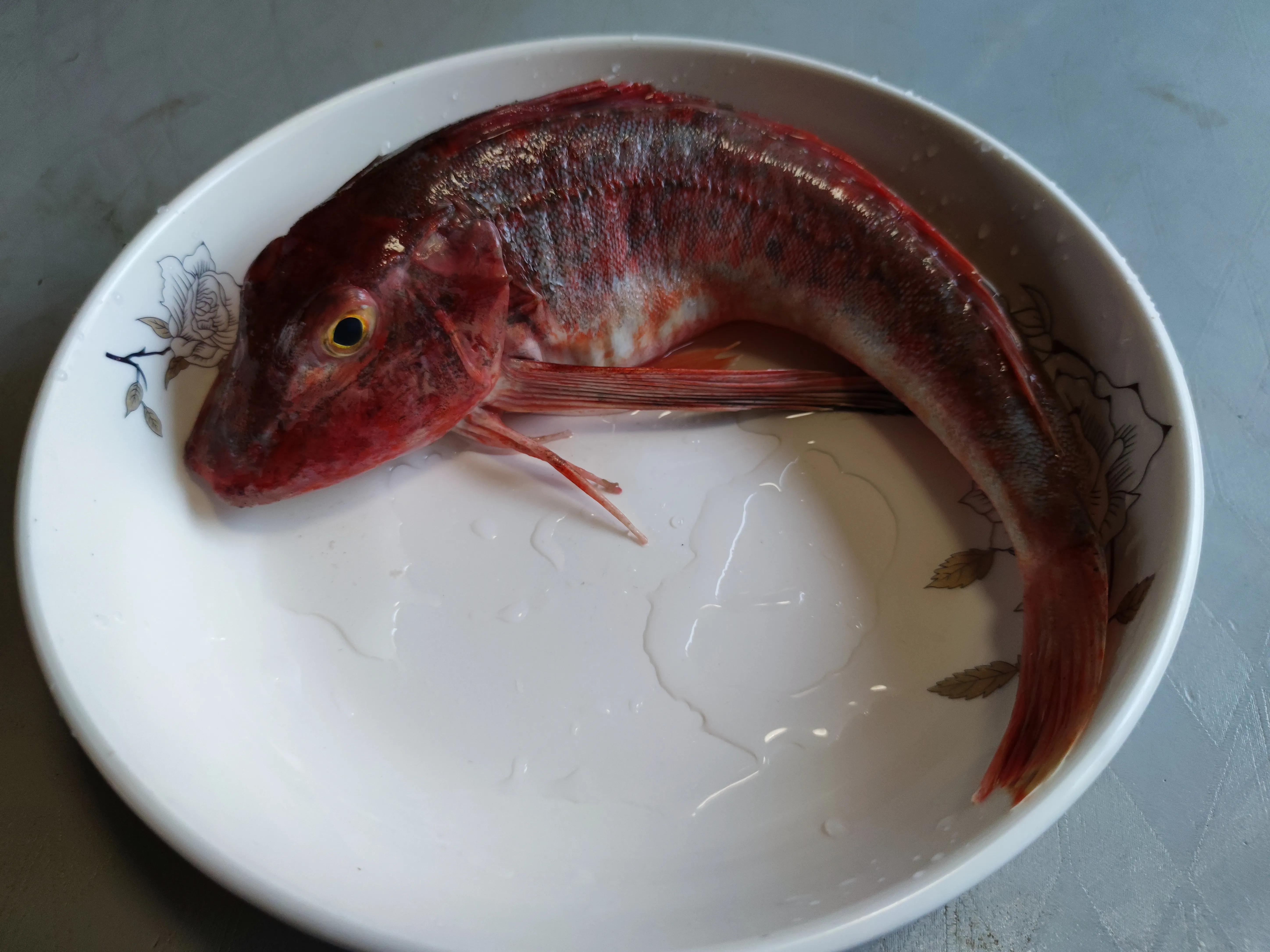 五一前什么海鱼最肥美?这8种都是正宗无养殖的，再不吃可要封海了