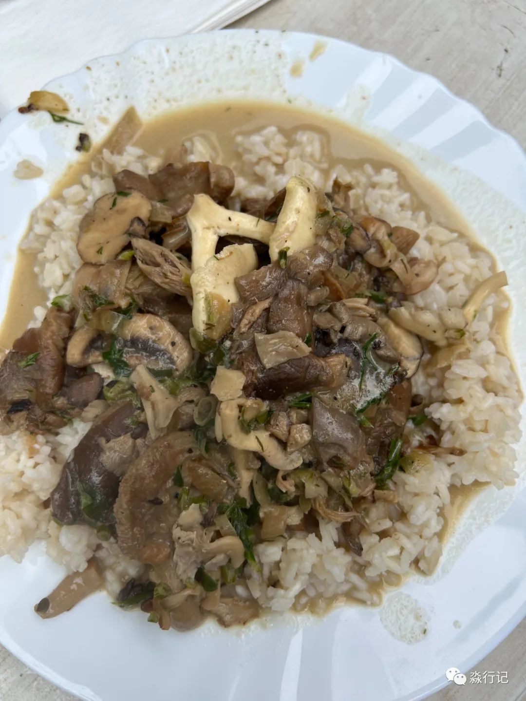 坐着火车游德国：法兰克福篇（一）