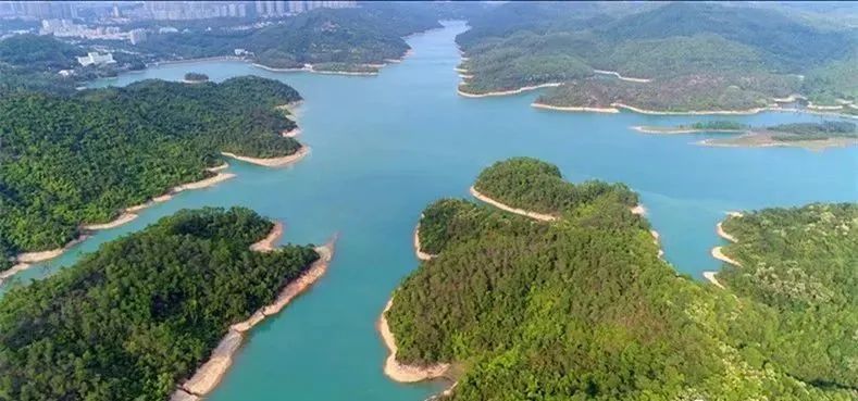 博爱七路【华鸿景悦轩】优缺点分析是否值得我们购买?一文见分晓