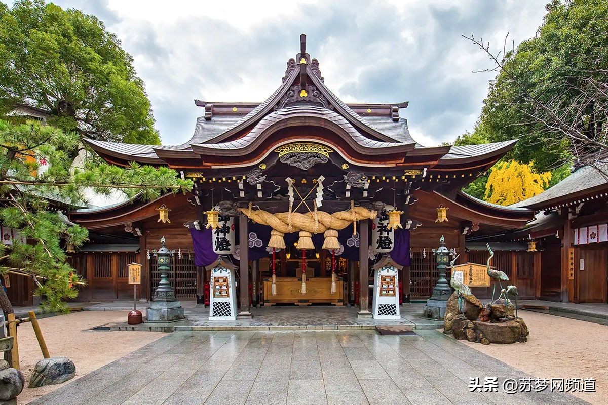 绂忓唸kota,绂忓唸zumba