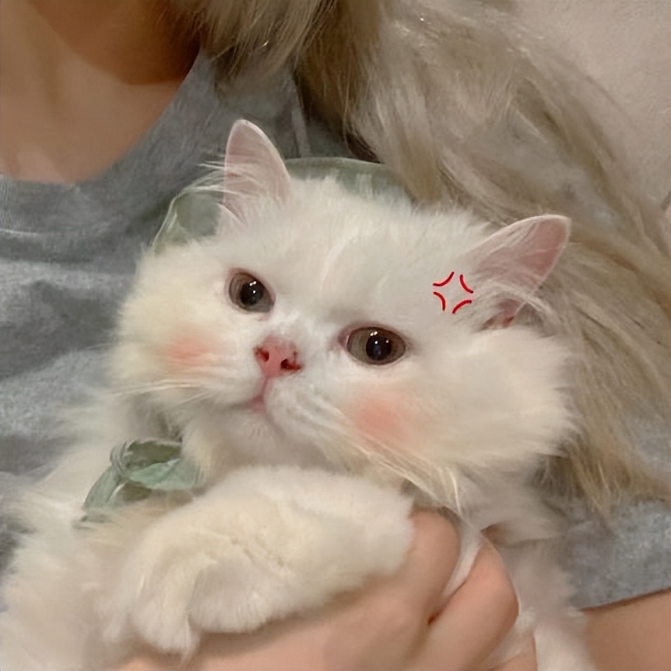 进行性视网膜萎缩治疗费用,进行性视网膜萎缩治疗