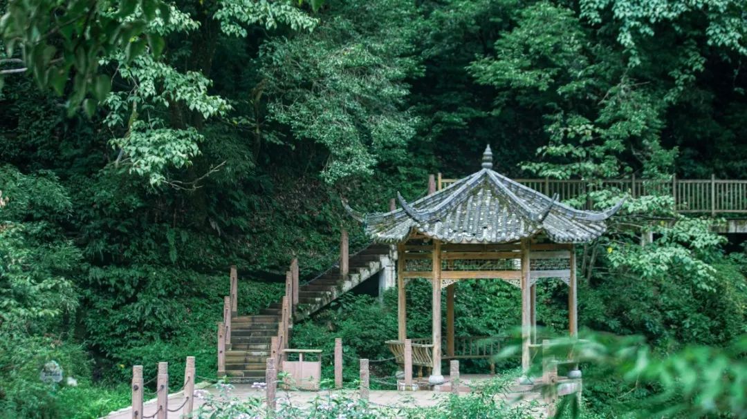 值得带娃去玩的景区推荐,无锡免费景区有哪些地方好玩