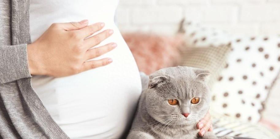 怀孕了可以领证不,怀孕了可以订婚吗