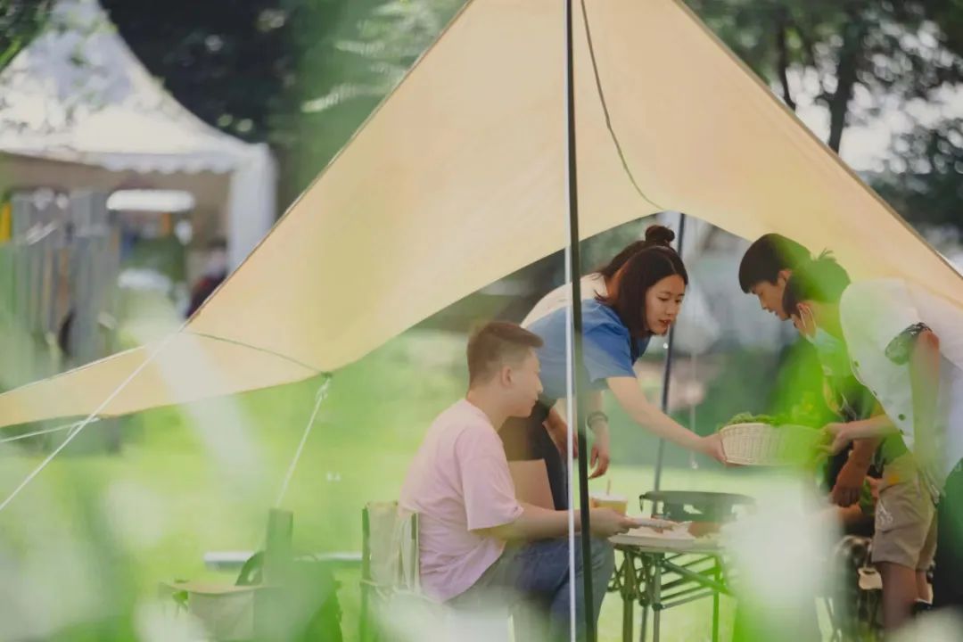 大连最美夏夜打开方式,大连最美时节