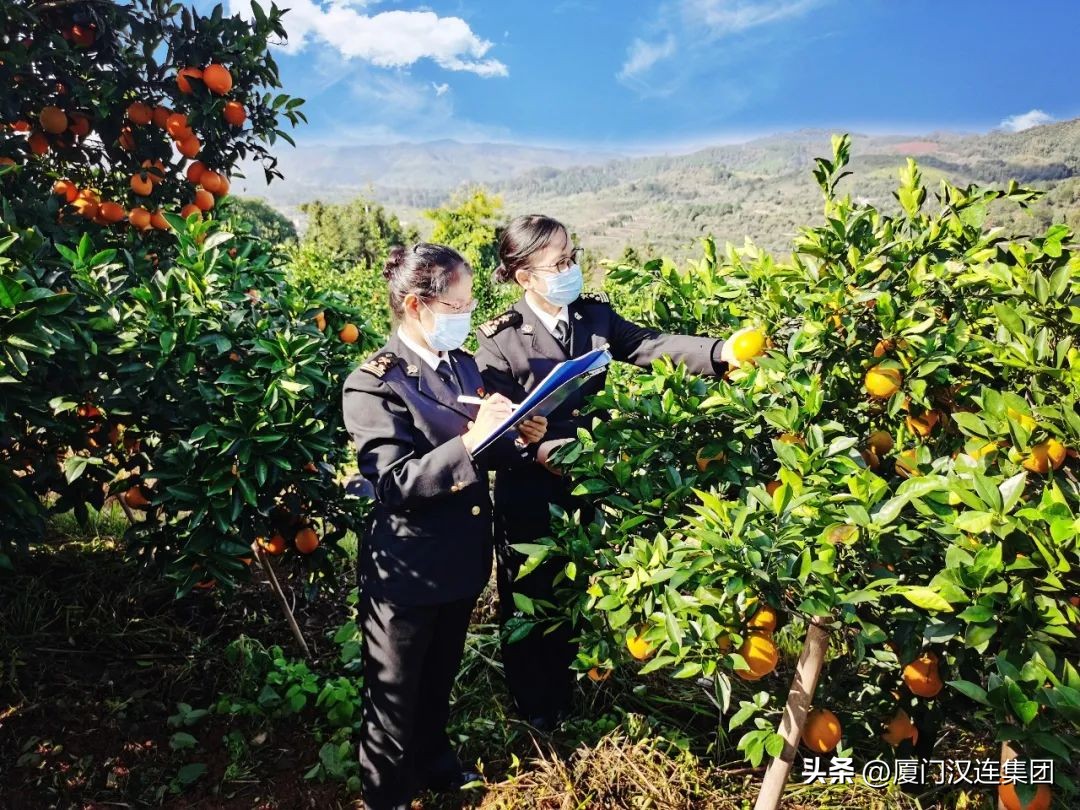 出境水果果园登记备案办理流程,出口果园注册备案