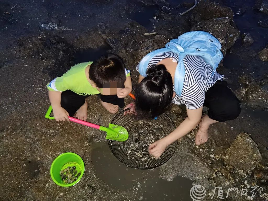 夏天厦门三亚北海到底选哪个好玩,厦门夏天哪个景区最好