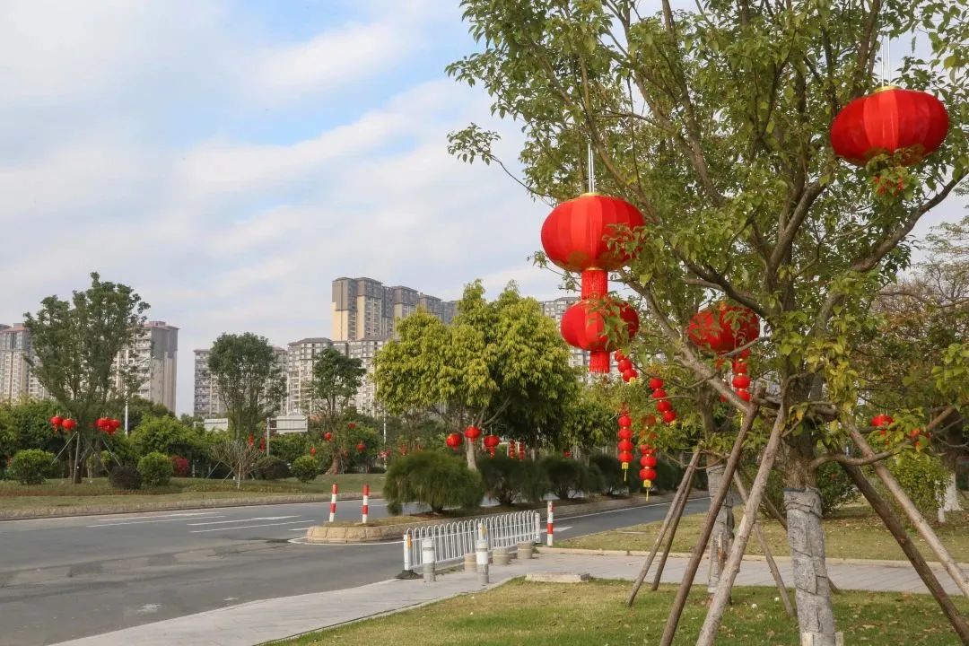 新春走基层年渐近年味浓,新春走基层石头村高挂迎客来