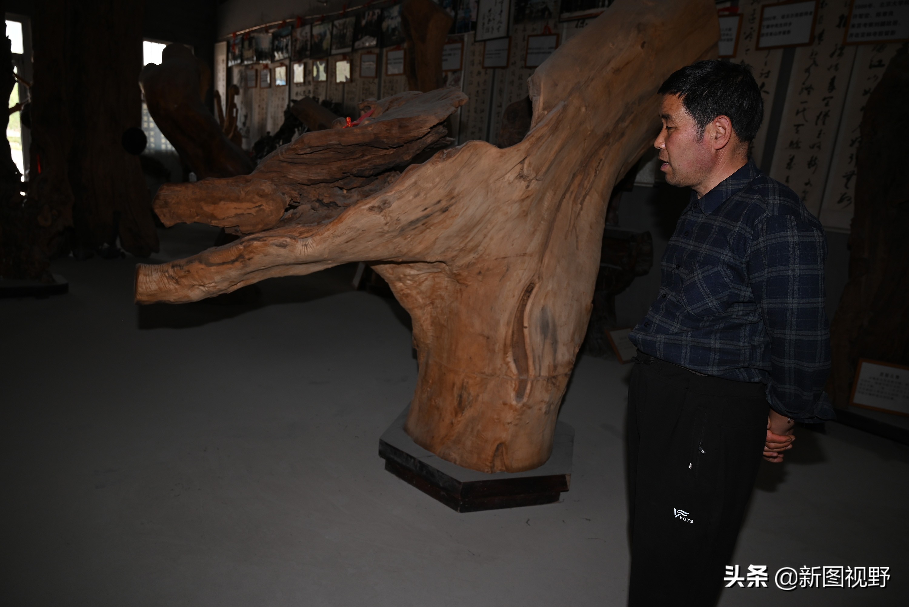 54岁农村大哥，把枯木当宝贝，13年来只收不卖，看他做啥生意