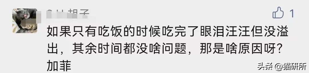 猫咪吃饭眼泪汪汪,猫咪吃饭流眼泪是为什么