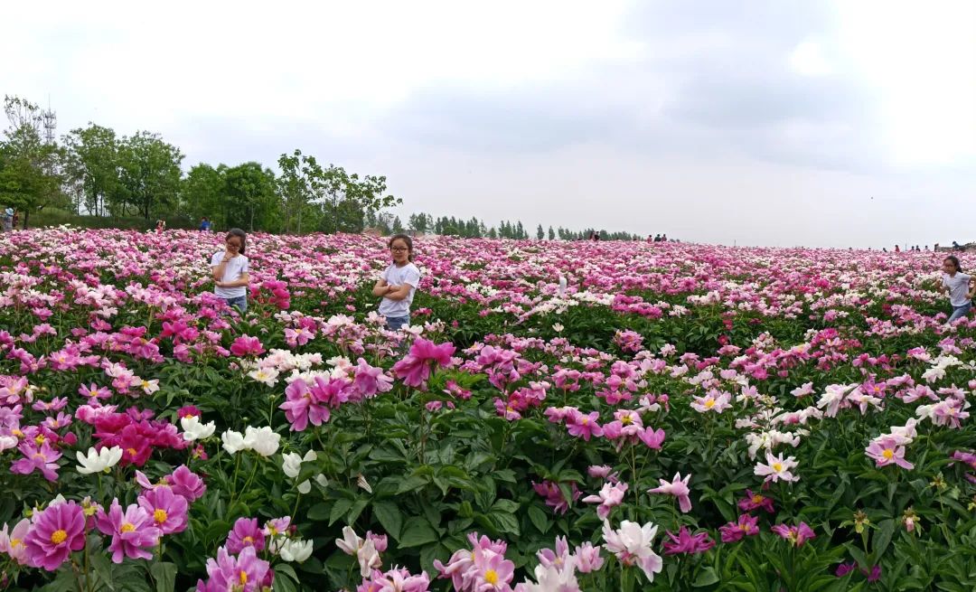 感悟中华文化享受美好旅程海报,感悟中华文化享受美好旅程宜昌