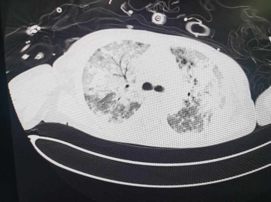 学思践悟细照笃行心得,学思践悟砥砺前行心得体会