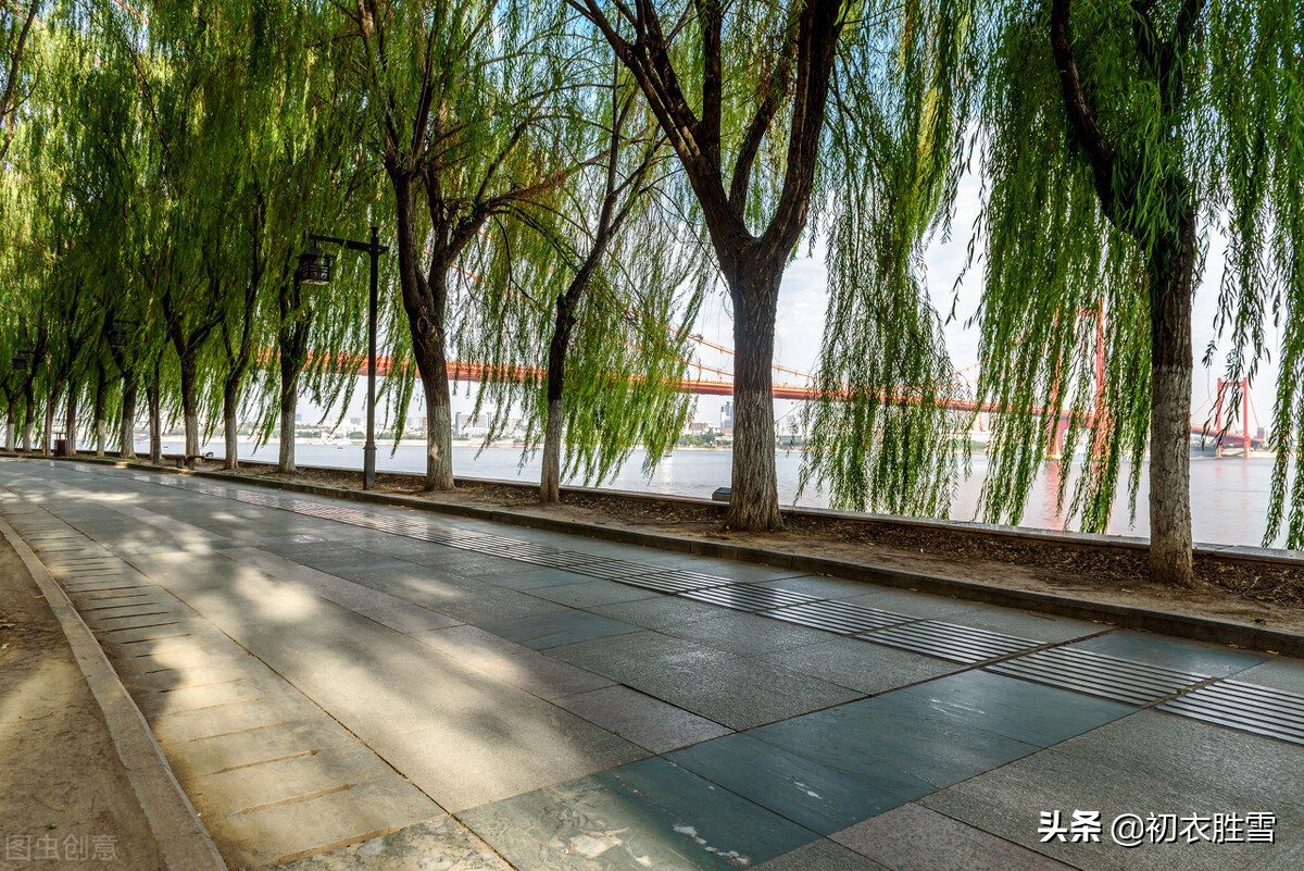 关于植树的诗名大全,关于植树的古诗词