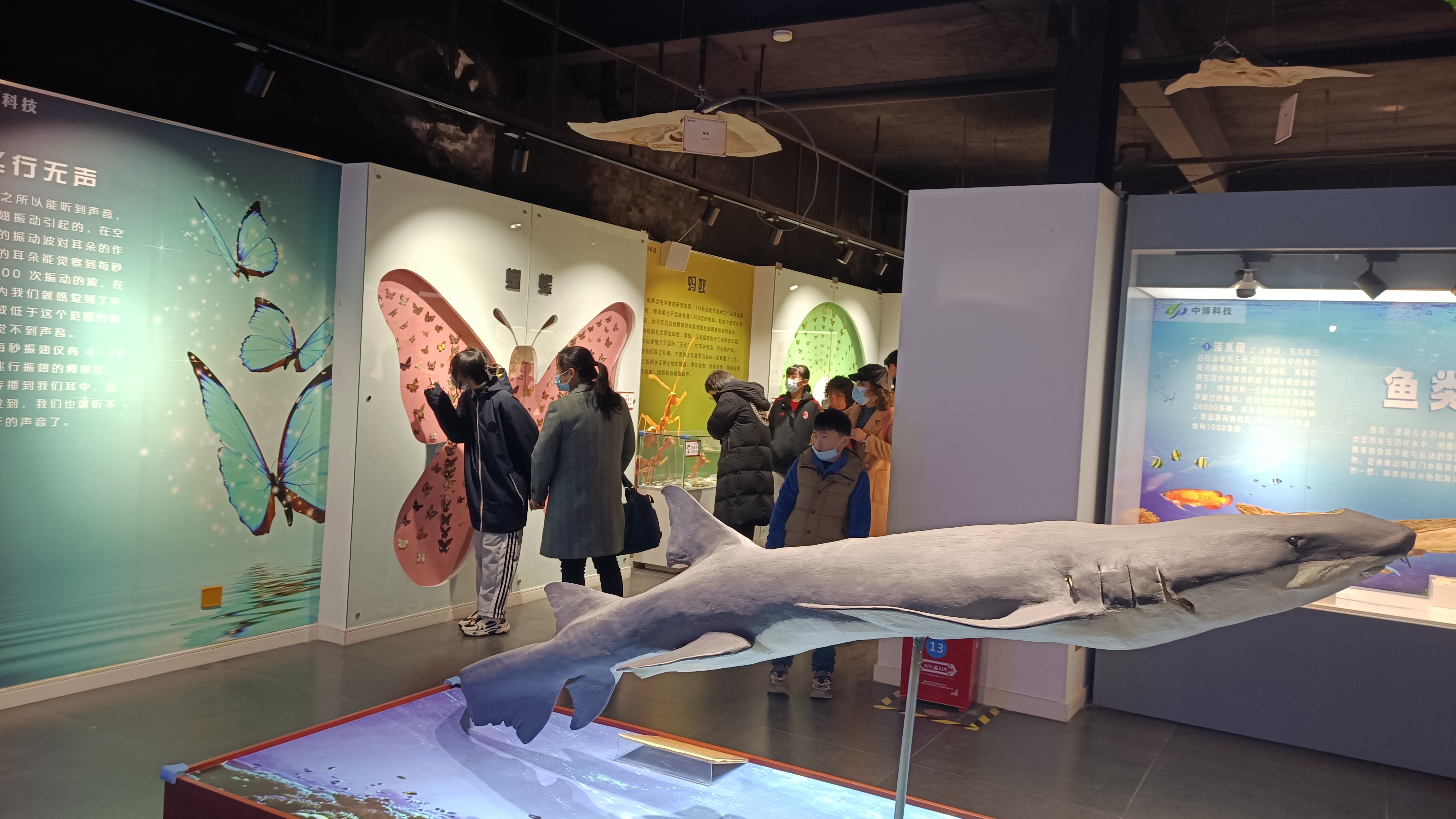 郑州周末遛娃踏青好去处,郑州春季带孩子游玩好去处推荐