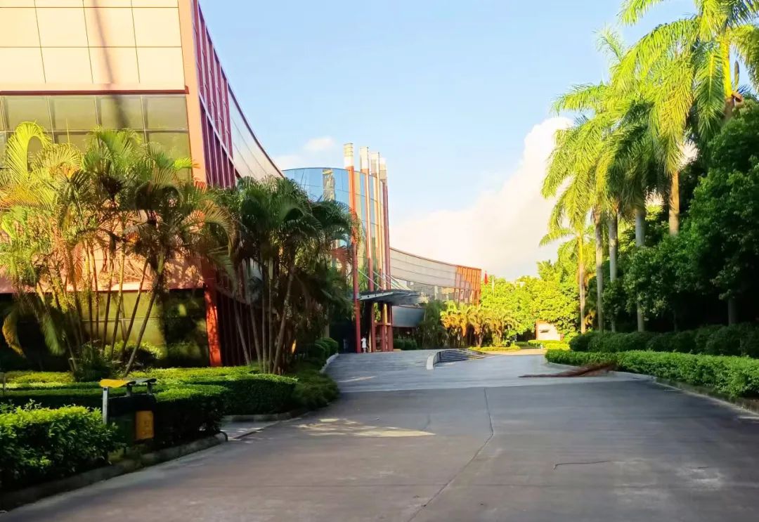 甲友心声和甲癌的关系,甲友心声全文