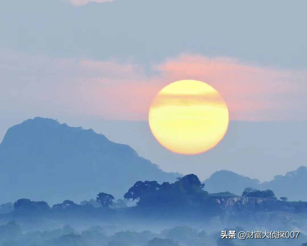 公募基金现状及趋势,泰达宏利基金是公募吗