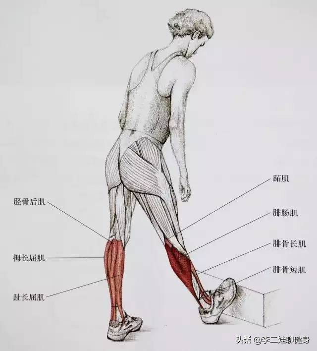 穿高跟鞋后小腿酸痛教你几招解决,穿高跟鞋之后脚酸疼怎么办