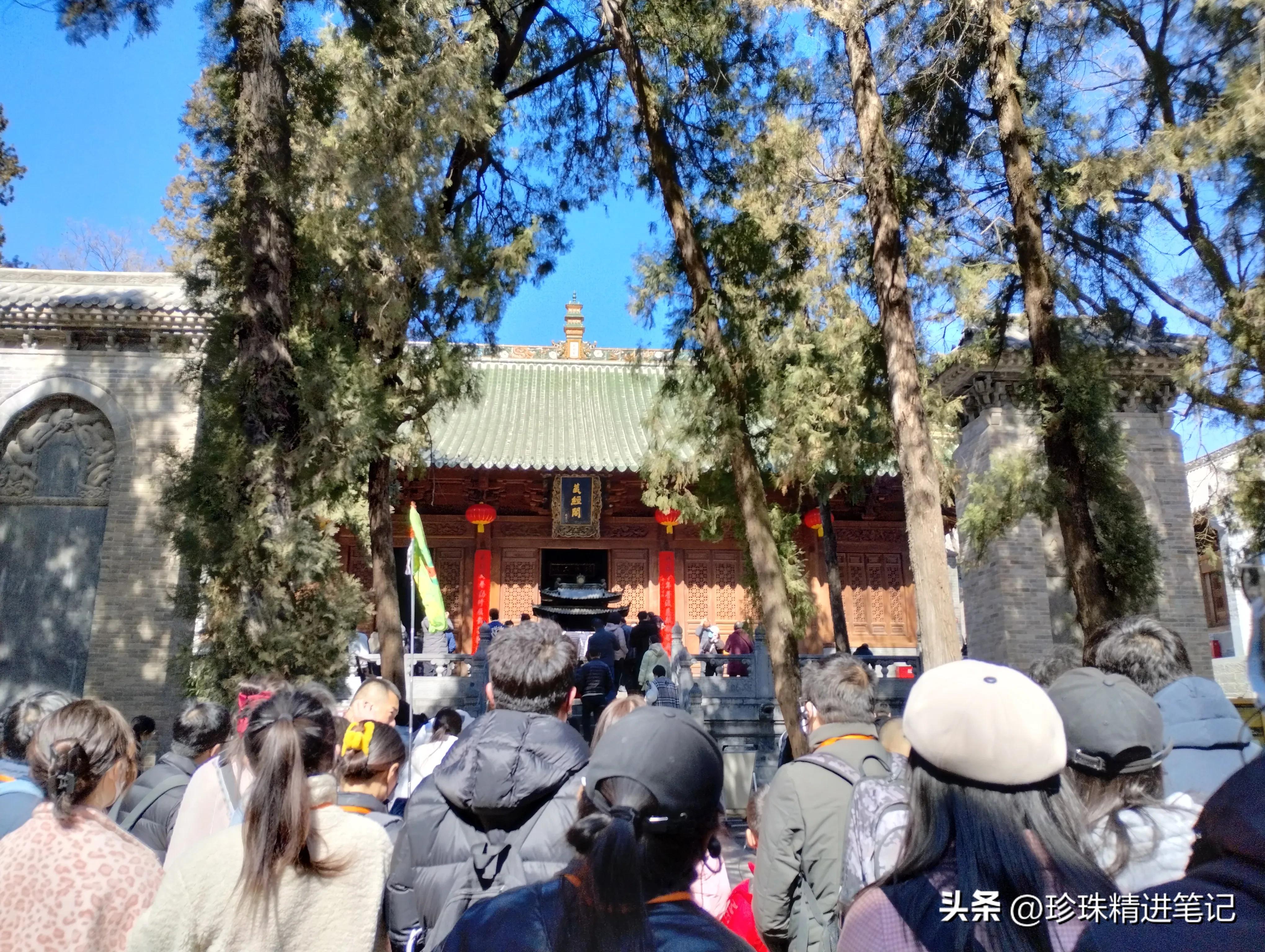 河南小男孩导游,导游赚钱真相揭秘