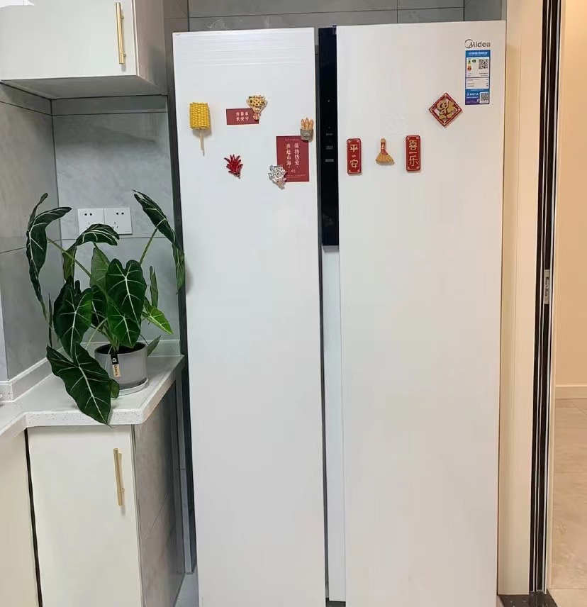 双十一家电选购技巧视频,2020双11家电购买攻略