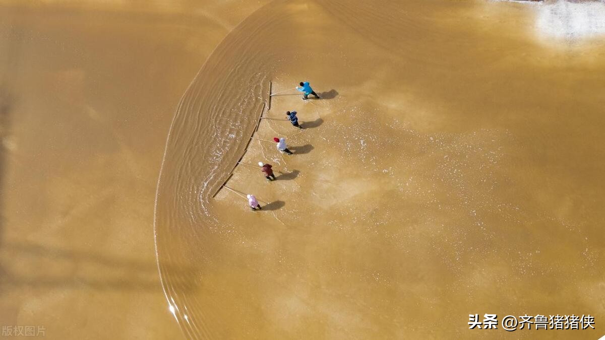 全国强镇100强山东,2023全国镇域经济500强排名