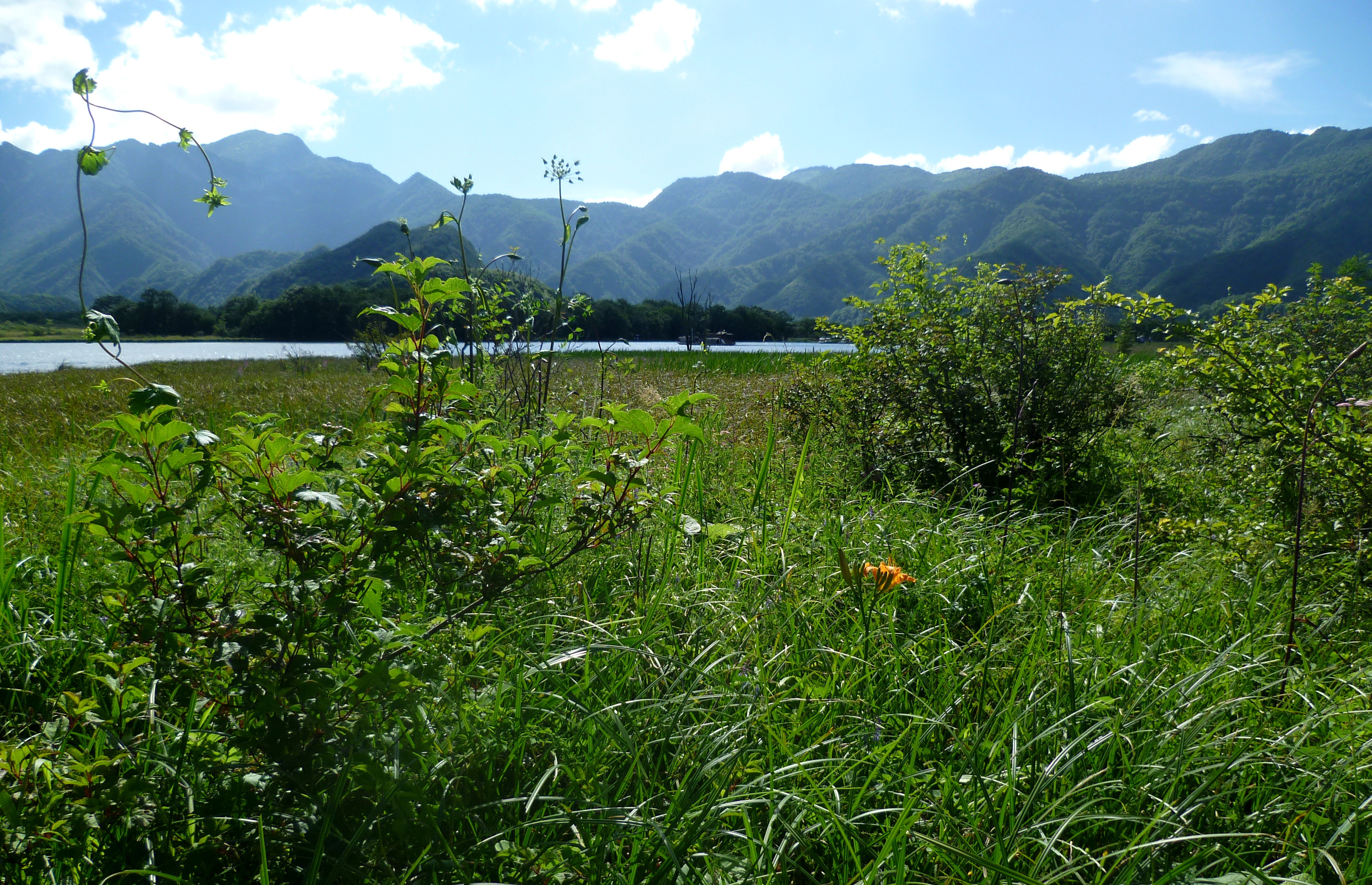 带你欣赏大九湖的美景,大九湖之旅