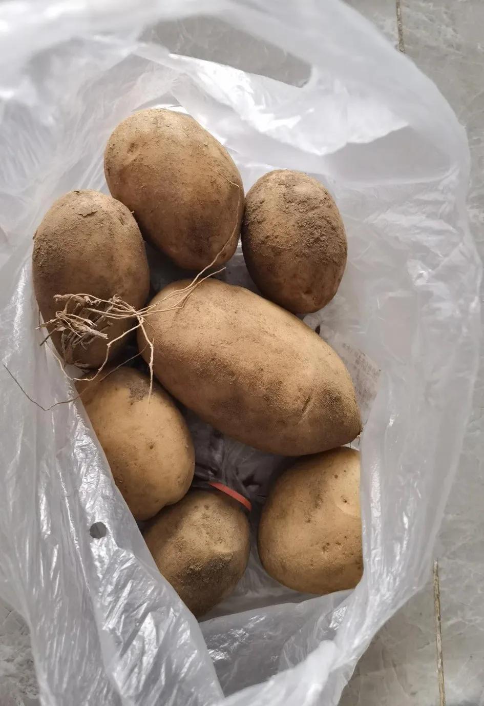 多多买菜真的靠谱吗,多多买菜的肉靠谱吗