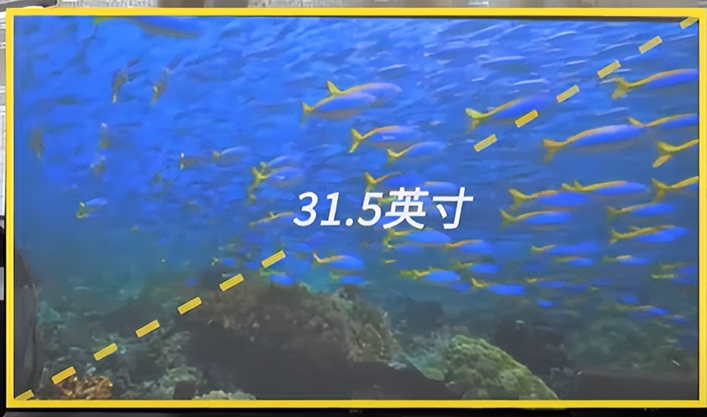 显示器va和ips和tn的区别,显示器va和tn和ips怎么分辨