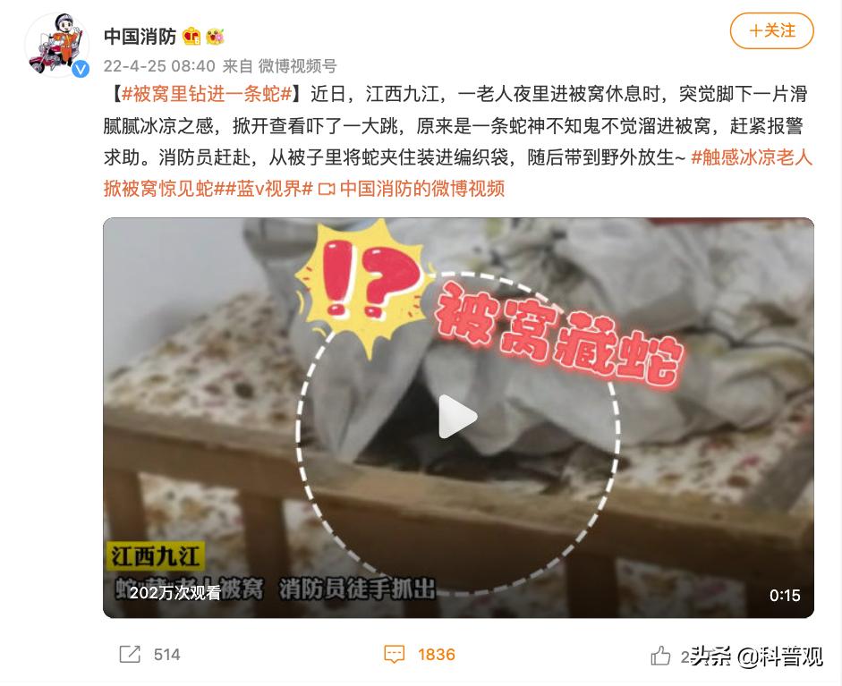 又是蛇！江西老人在被窝里摸到蛇，这种情况该如何处理？