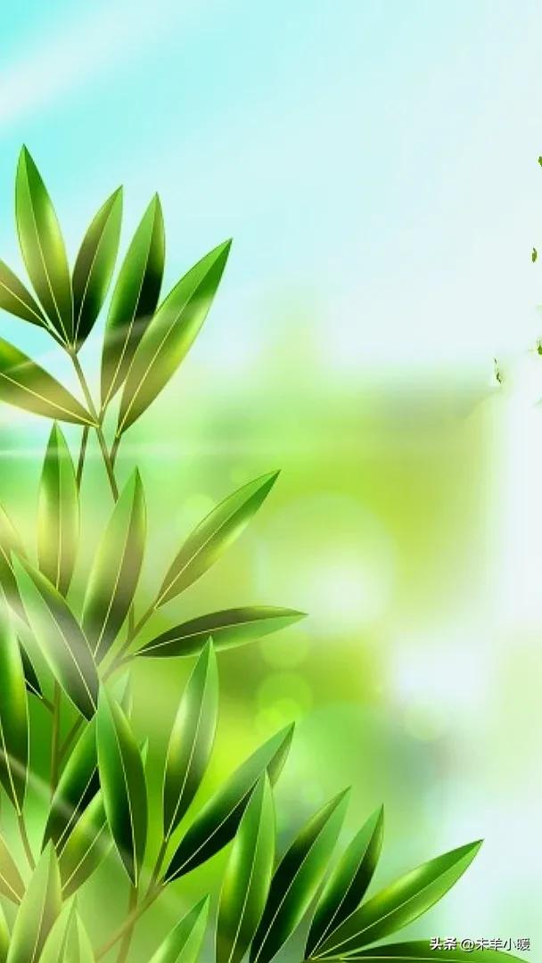 最美的手机壁纸大全,养眼养心的壁纸