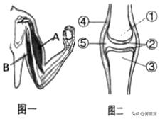 2021年黑龙江省龙东地区中考生物试卷
