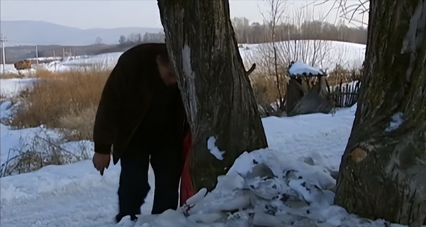 吉林一男子捡到梅花鹿,吉林男子野外捡鹿