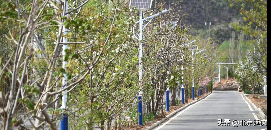 延庆区美丽新农村,延庆区新农村建设