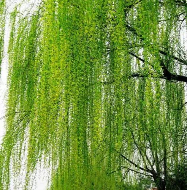 闺蜜小说知乎,闺蜜小说免费阅读