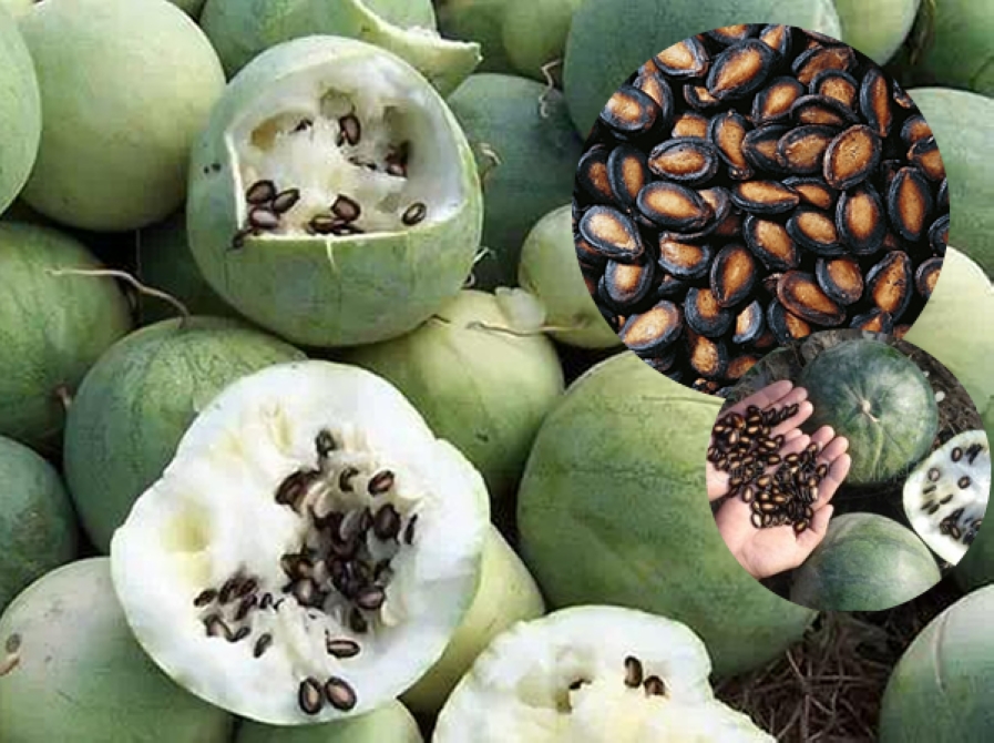 影星邓超曾在八一广场打地铺揭秘老南昌纳凉那些事儿