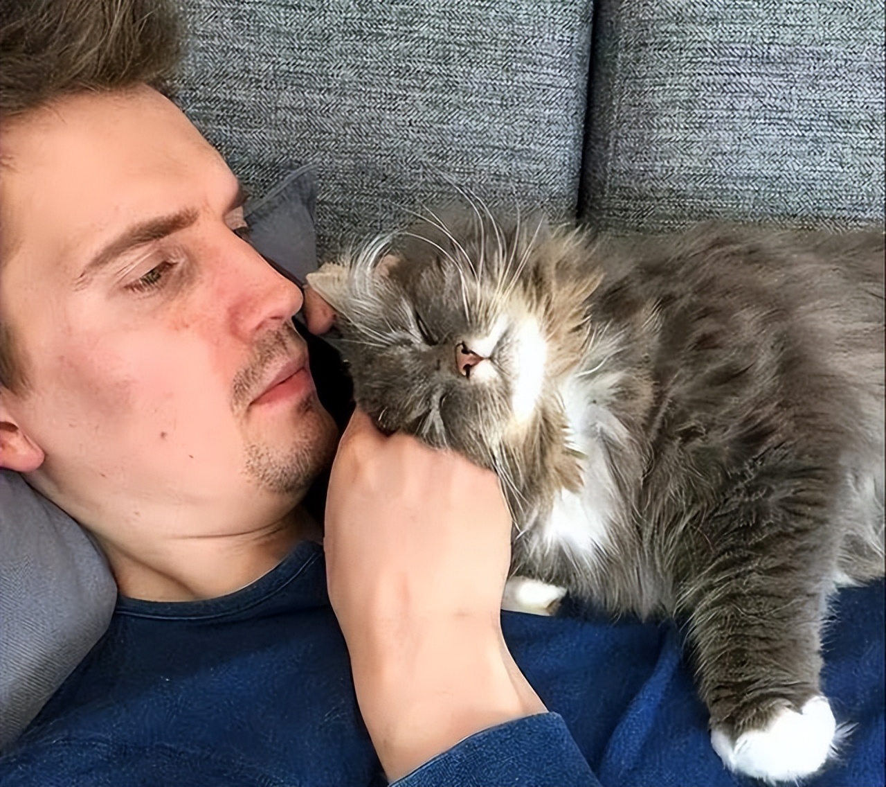 猫咪早上一直叫是怎么回事,早上睡觉猫咪一直嗯喵嗯喵的叫