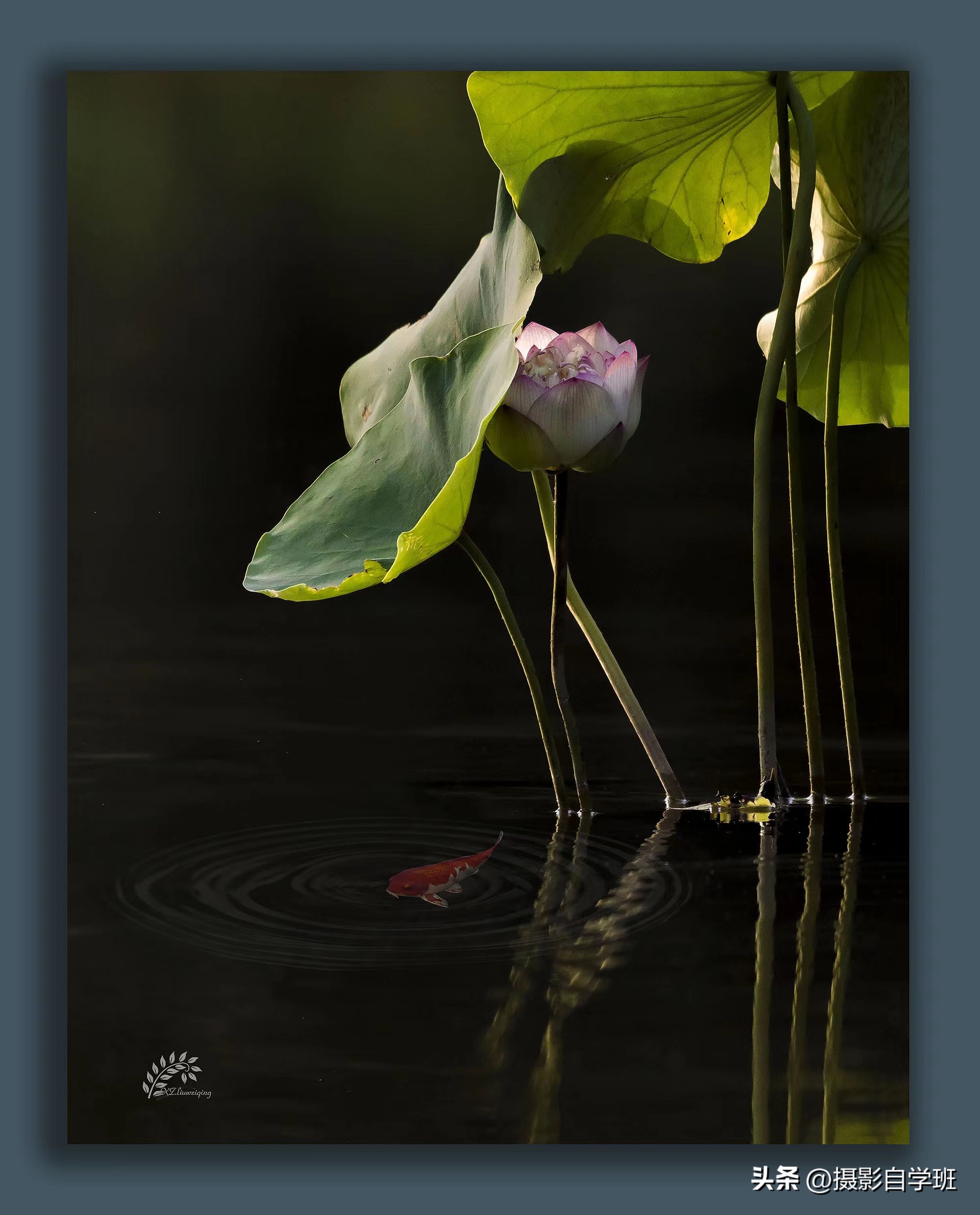 摄友投稿图片,摄友投稿旅行记录图